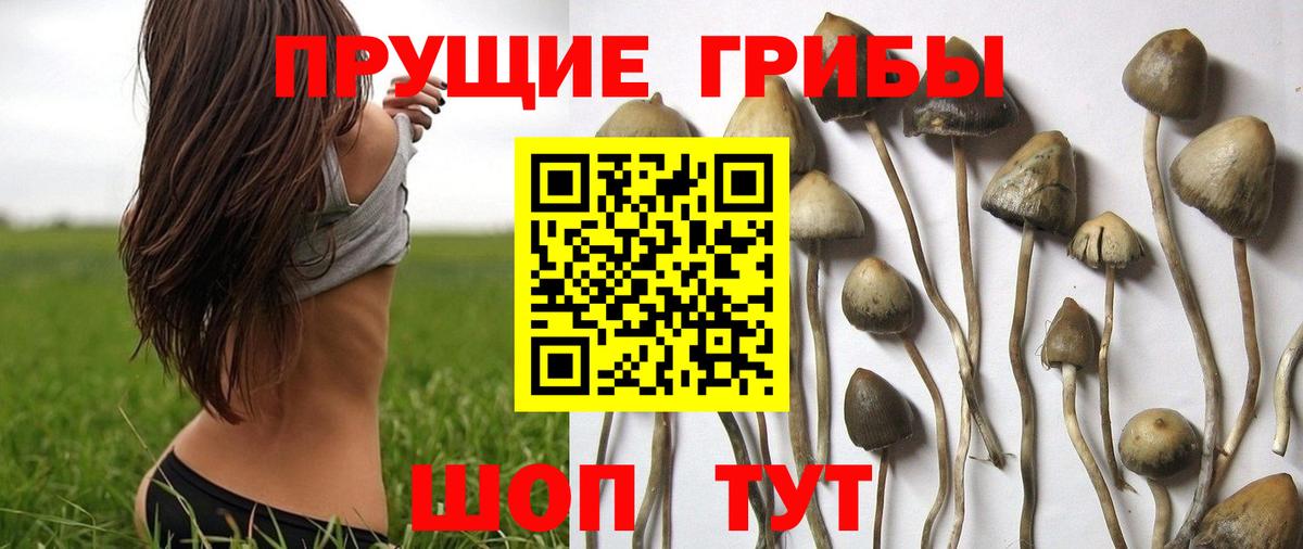 МЕТАМФЕТАМИН  APVP СОЛЬ кристаллы  ТГК  Вход с VPN  Гашиш  МАРИХУАНА  Меф МЯУ МЯУ кристаллы  Джанкой  Кокаин  Наркошоп  НБОМе  LSD-25 