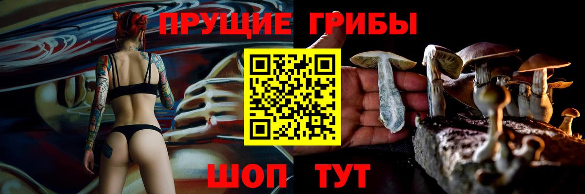 Галлюциногенные грибы Psilocybe Джанкой